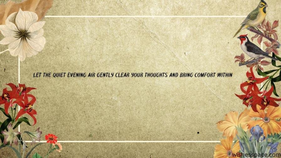 Peaceful Good Evening Quotes to Relax the Mind